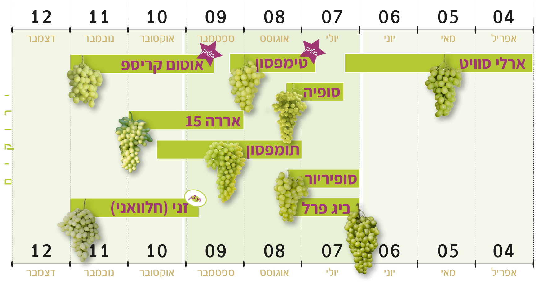 ענבים ירוקים