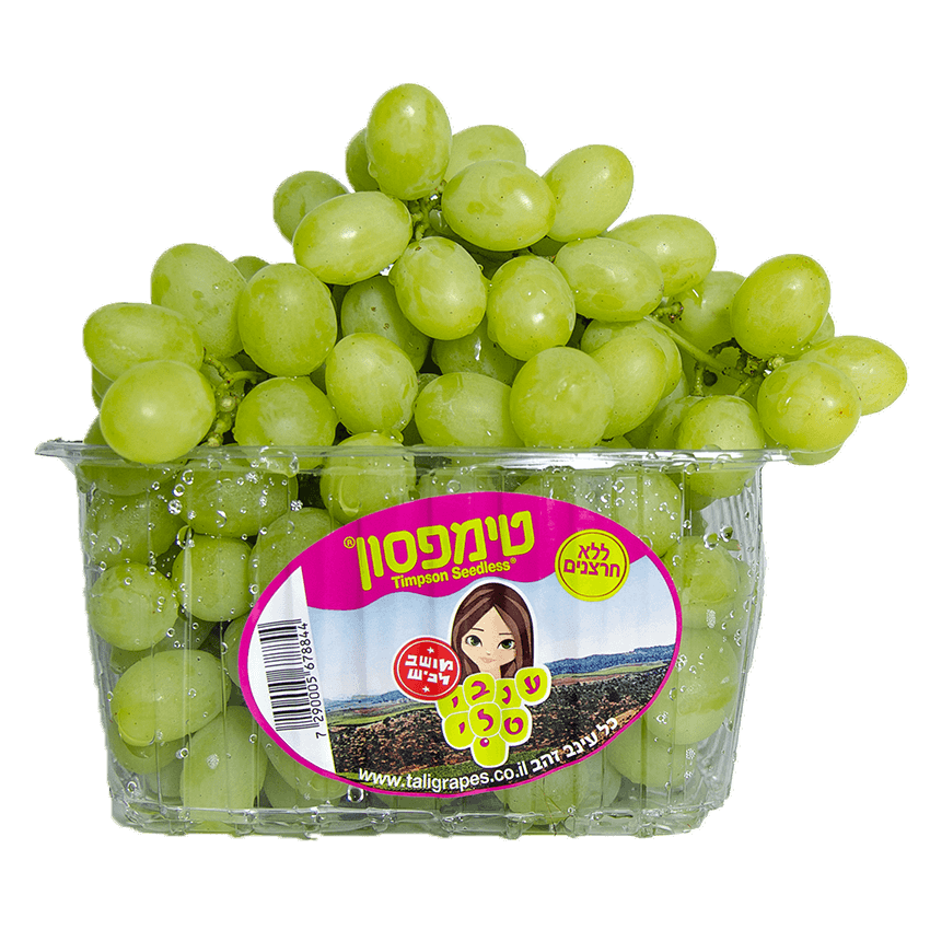 מדריך זני ענבים פופולריים במושב לכיש ענבי טלי