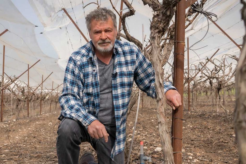 זיגי בכרם ליד טנסיומטר מים